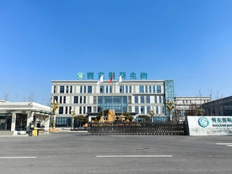 Shandong Saikesaisi Hydrogen Energy Co., Ltd línea de producción del fabricante